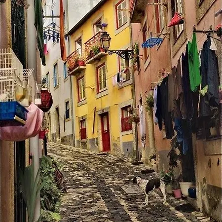 דירה Ideal Address With Fantastic View Castel -old Town-river